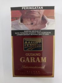 GG FILTER INTERNASIONAL 12'S